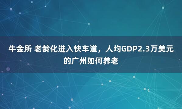 牛金所 老龄化进入快车道,人均GDP2.3万美元的广州如何养老