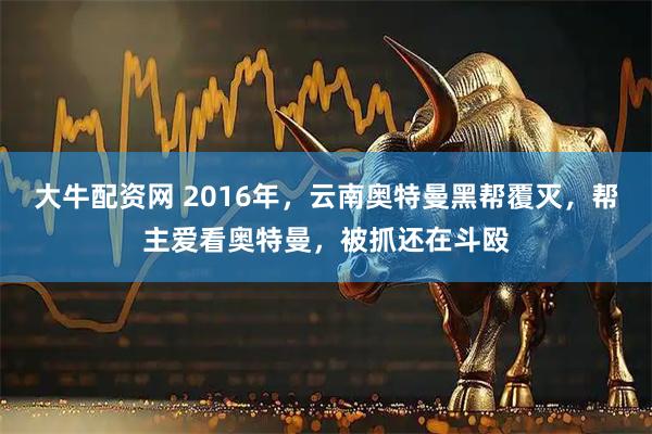 大牛配资网 2016年,云南奥特曼黑帮覆灭,帮主爱看奥特曼,被抓还在斗殴